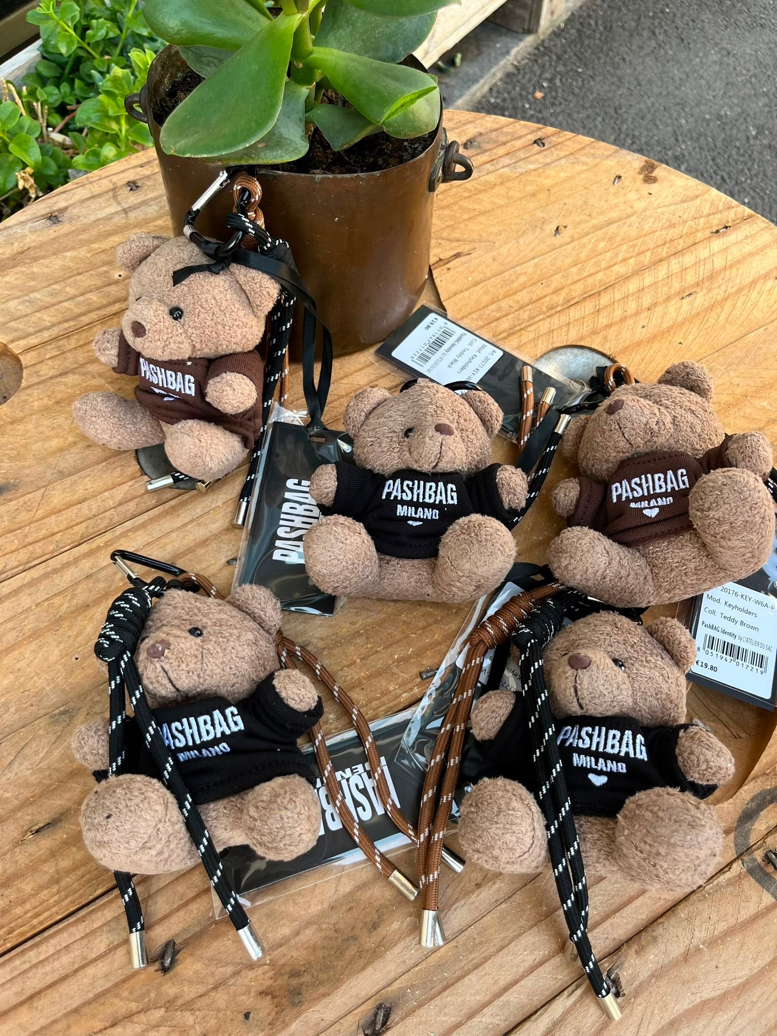 Charms teddy Pashbag